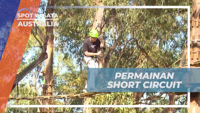 Serunya Bermain di Short Circuit, Australia