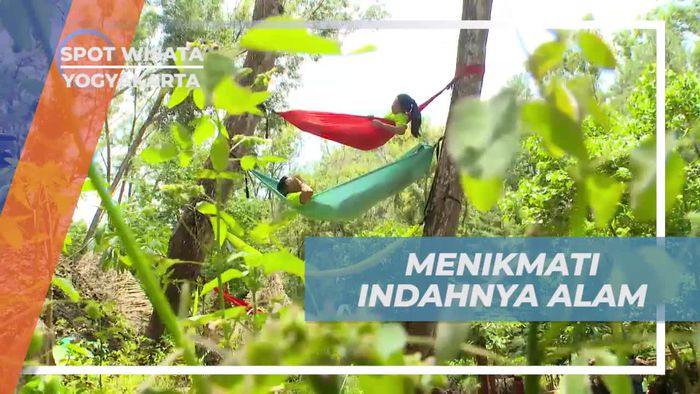 Bersantai di Hutan Pinus Seribu Batu Songgo Langit, Yogyakarta