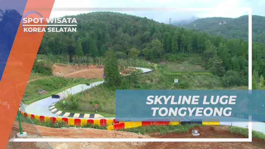Menjelajahi Keindahan Alam Skyline Luge Tongyeong, Korea Selatan