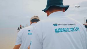 Freeport Indonesia Tanam Mangrove 25 Hektare di Sumut