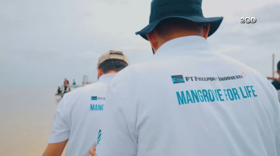 Freeport Indonesia Tanam Mangrove 25 Hektare di Sumut