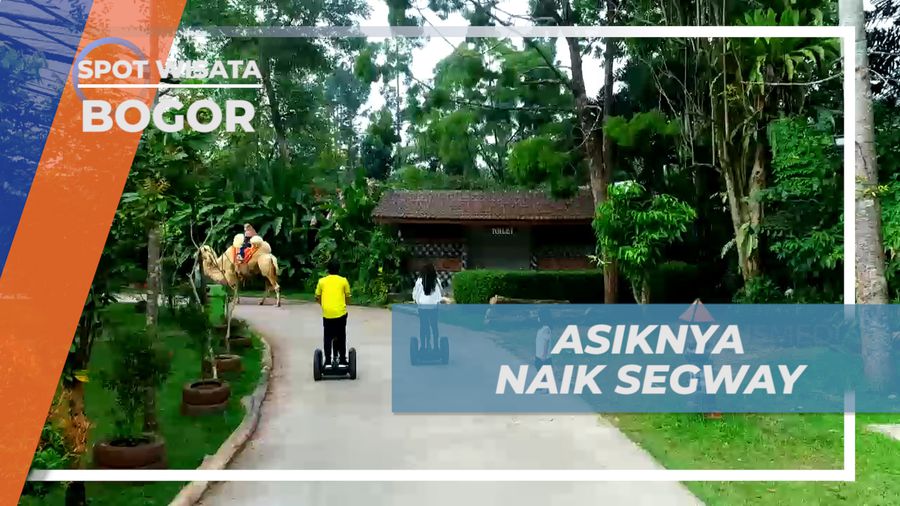 Asiknya Berkeliling Royal Safari Garden dengan Segway di Bogor