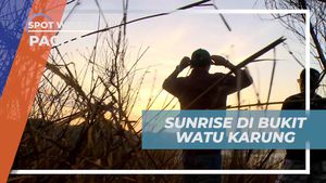 Sunrise yang Memukau di Bukit Watu Karung, Pacitan