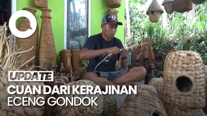 Video: Warga Lumajang Raup Puluhan Juta dari Kerajinan Eceng Gondok