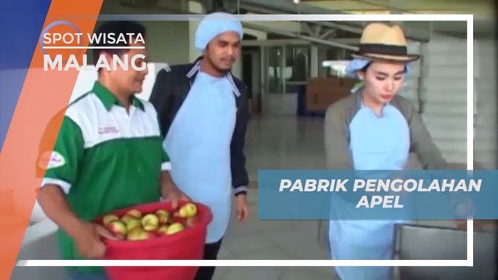 Menelusuri Proses Pengolahan Apel di Pabrik Sari Apel Malang  