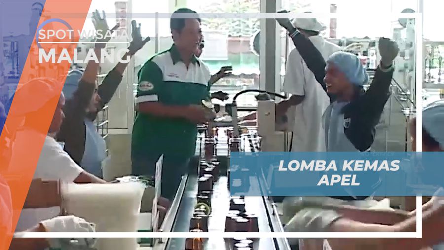 Berlomba Mengemas Sari Apel di Agrowisata Kusuma, Malang  