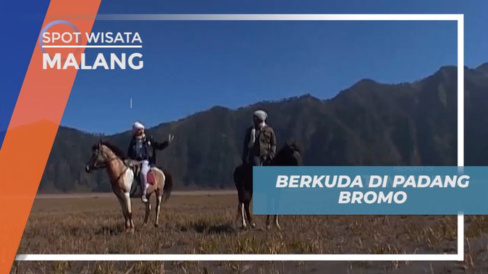 Berkuda di Padang Pasir Bromo yang Menakjubkan, Malang  