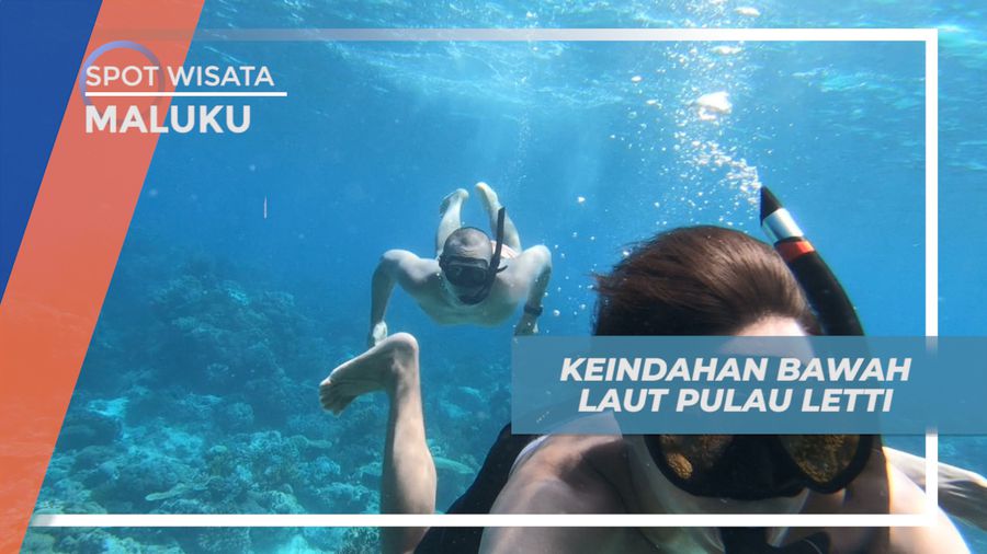 =Menyaksikan Keindahan Bawah Laut Pulau Letti, Maluku  