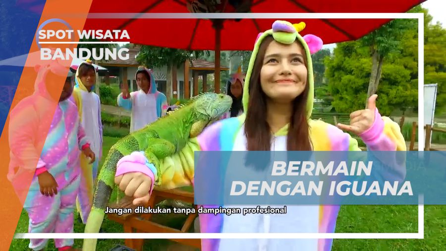 Bermain Seru dengan Iguana di Happy Farm Bandung