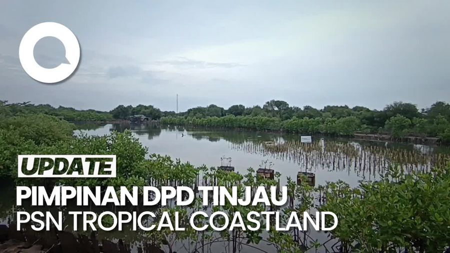 Video DPD Tinjau PSN Tropical Coastland, Pastikan Bukan Berada di PIK 2