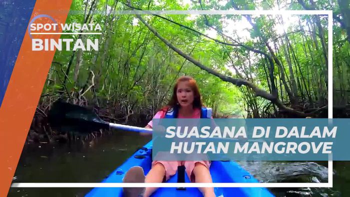 Suasana Tenang di Hutan Mangrove Pulau Bintan yang Menyegarkan