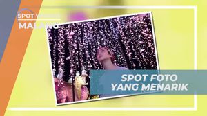 Menikmati Spot Foto Menarik di Kota Malang Night Paradise Jawa Timur