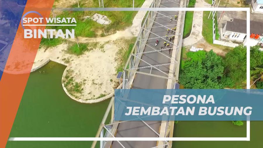 Keindahan Jembatan Busung yang Ikonik di Bintan