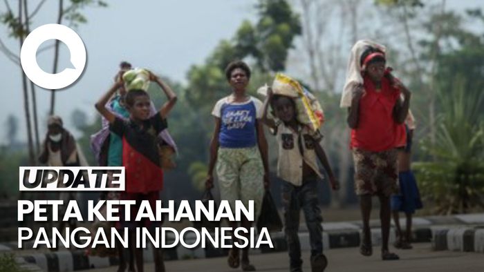 Video Data: Mayoritas Daerah Papua Rentan Pangan