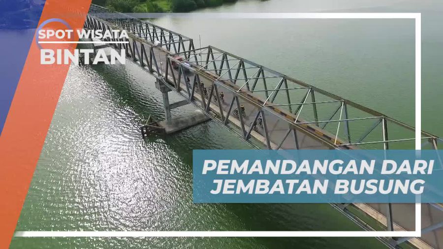 Pesona Alam dari Jembatan Busung di Bintan