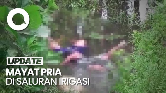 Video: Geger Penemuan Mayat Pria di Saluran Irigasi Jembrana, Polisi Selidiki