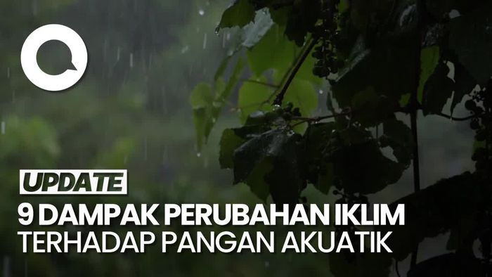 Video: Kemenhut Ungkap 9 Dampak Perubahan Iklim terhadap Ketahanan Pangan Akuatik