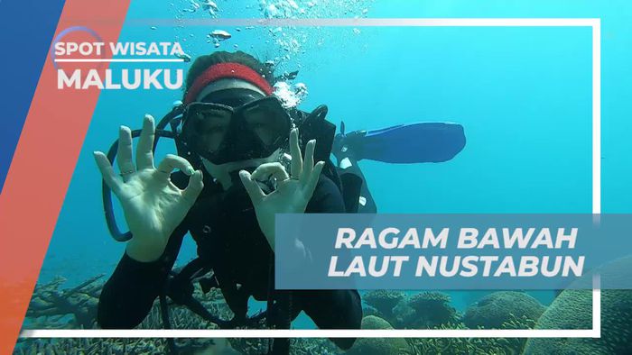 Mengungkap Ragam Kehidupan Laut yang Memesona di Pulau Nustabun, Maluku