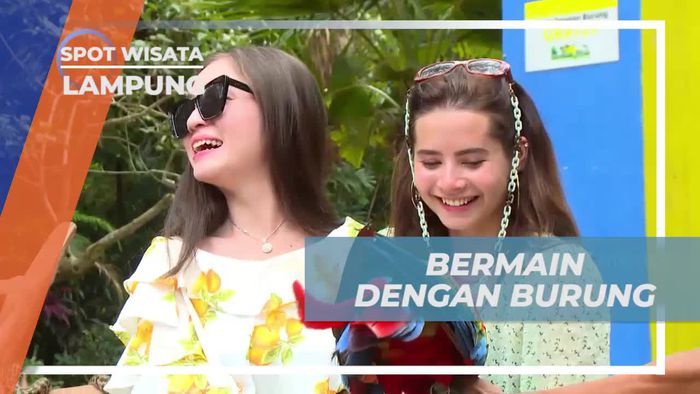 Menikmati Sensasi Bermain dengan Burung-burung Cantik di Lampung
