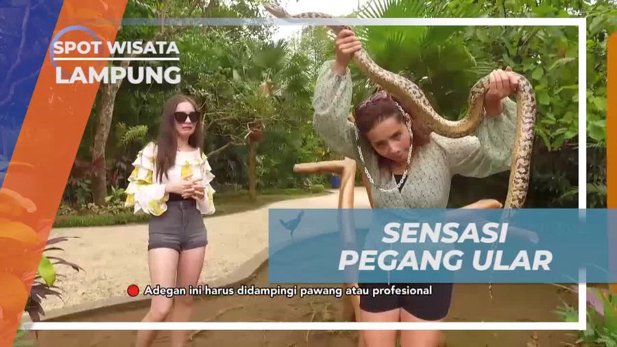 Merasakan Adrenalin Saat Takut Memegang Ular di Lampung
