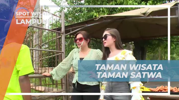 Menyaksikan Keindahan Satwa di Taman Wisata Satwa Lampung