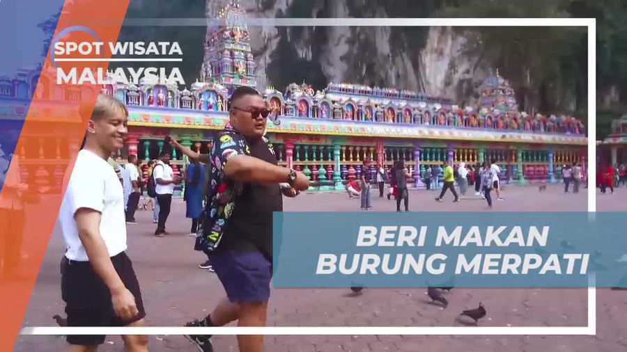 Memberi Makan Burung Merpati di Batu Caves, Malaysia  