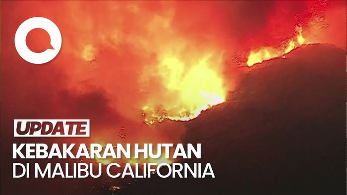 Video: Penampakan Kebakaran 2.200 Hektare Hutan di Malibu California