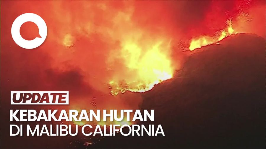 Video: Penampakan Kebakaran 2.200 Hektare Hutan di Malibu California