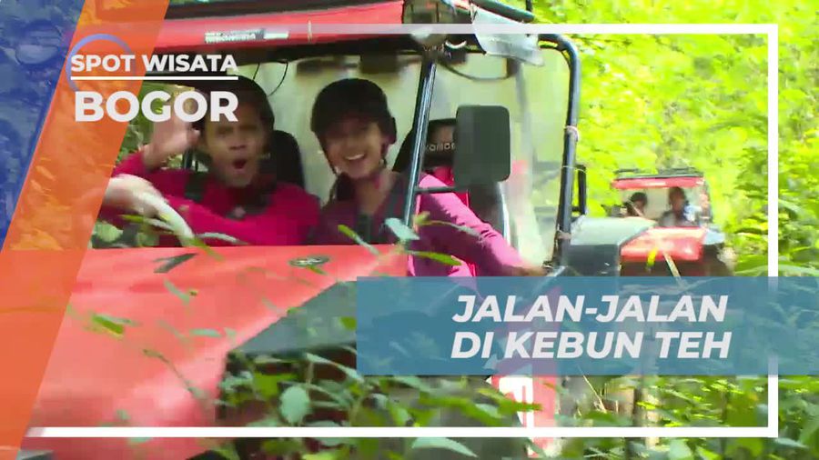 Menikmati Keindahan Kebun Teh Bogor dengan Jeep