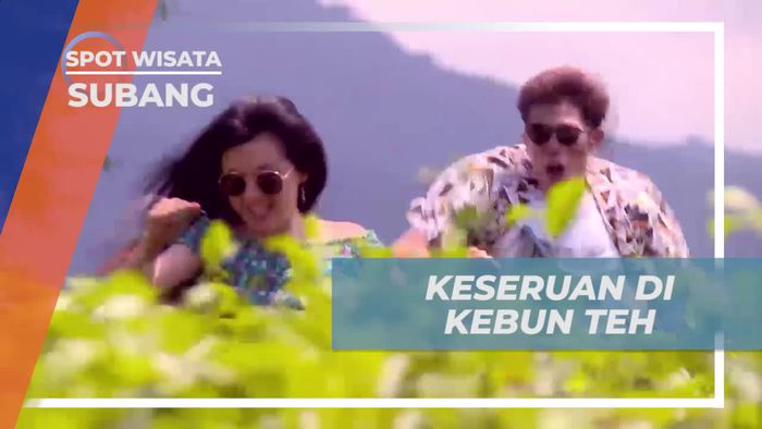 Menikmati Keindahan Kebun Teh di Bukit Santiong, Subang
