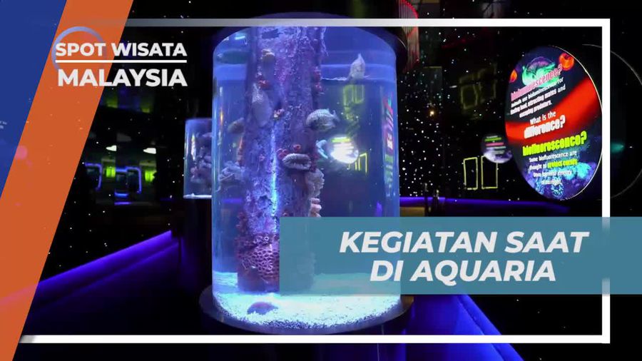 Mengikuti Berbagai Kegiatan Menarik di Aquaria, Malaysia