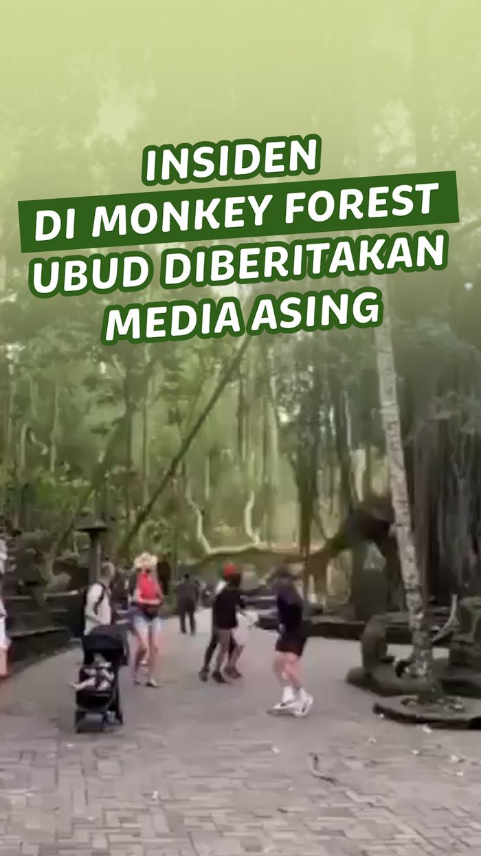 Video: Sorotan Media Asing Terkait Insiden di Monkey Forest Ubud