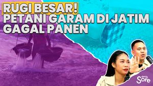 Ratusan Hektar tambak Garam Di Probolinggo Kebanjiran