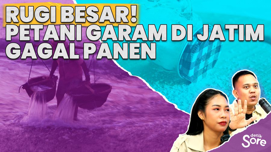 Ratusan Hektar tambak Garam Di Probolinggo Kebanjiran