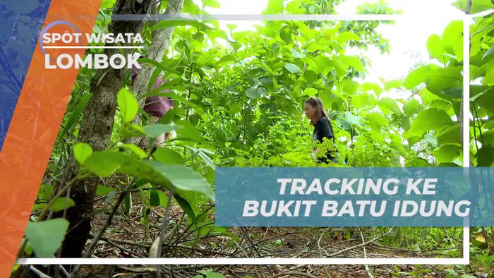 Melakukan Tracking Seru Menuju Bukit Batu Idung di Lombok