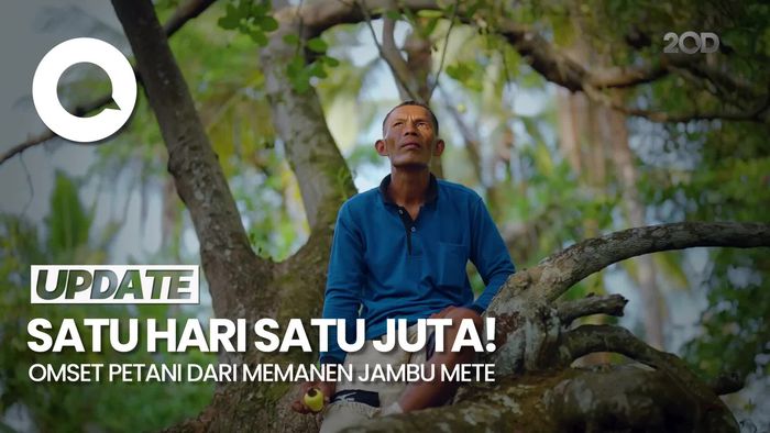 Dari Lahan Kosong hingga Panen Jambu Mete: Kisah Inspiratif Seorang Petani