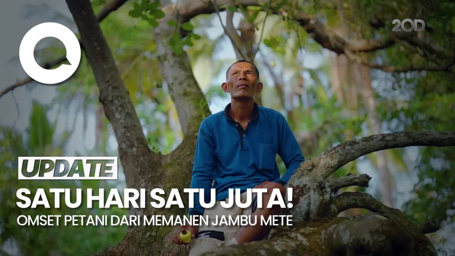 Dari Lahan Kosong hingga Panen Jambu Mete: Kisah Inspiratif Seorang Petani
