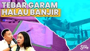Pemerintah Modifikasi Cuaca untuk Kurangi Risiko Banjir dan Kekeringan
