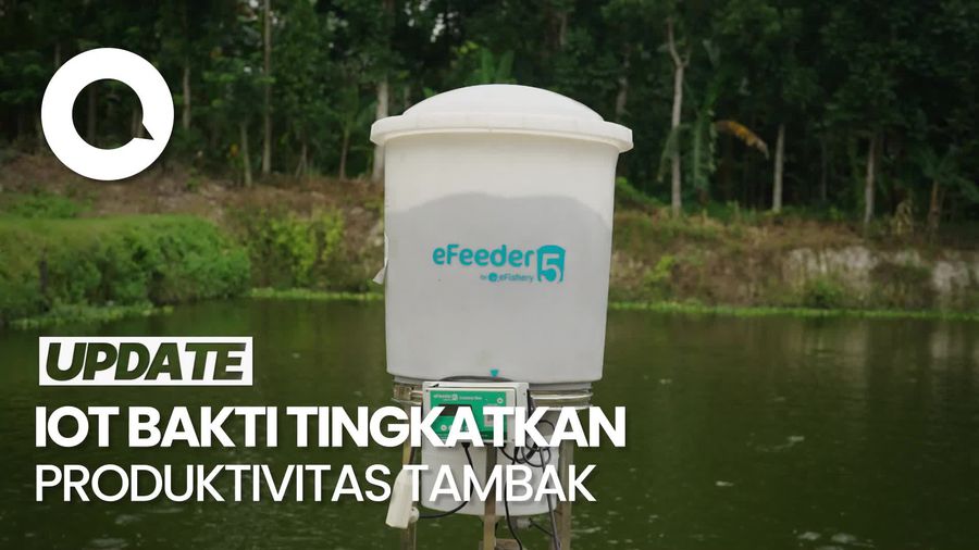 BAKTI Perkenalkan IoT untuk Meningkatkan Produktivitas Tambak di Lampung