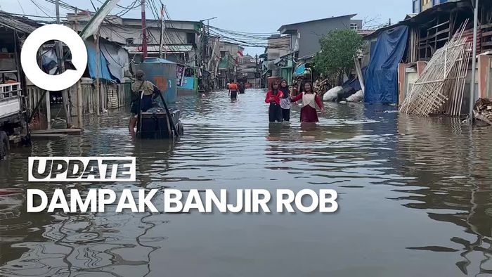 Video: Keluh Kesah Warga Terdampak Banjir Rob di Jakarta Utara
