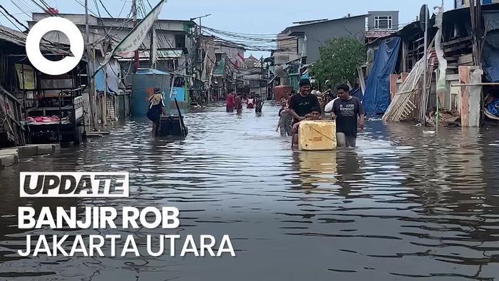 Video: 12 RT di Muara Angke Terendam Banjir Rob, Ketinggian Capai 80 Cm