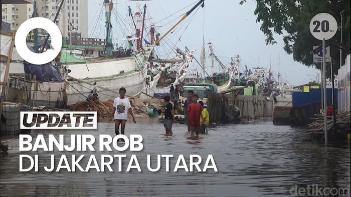 Video Banjir Rob Rendam Penjaringan Jakut, Kedalaman Sampai 80 Cm