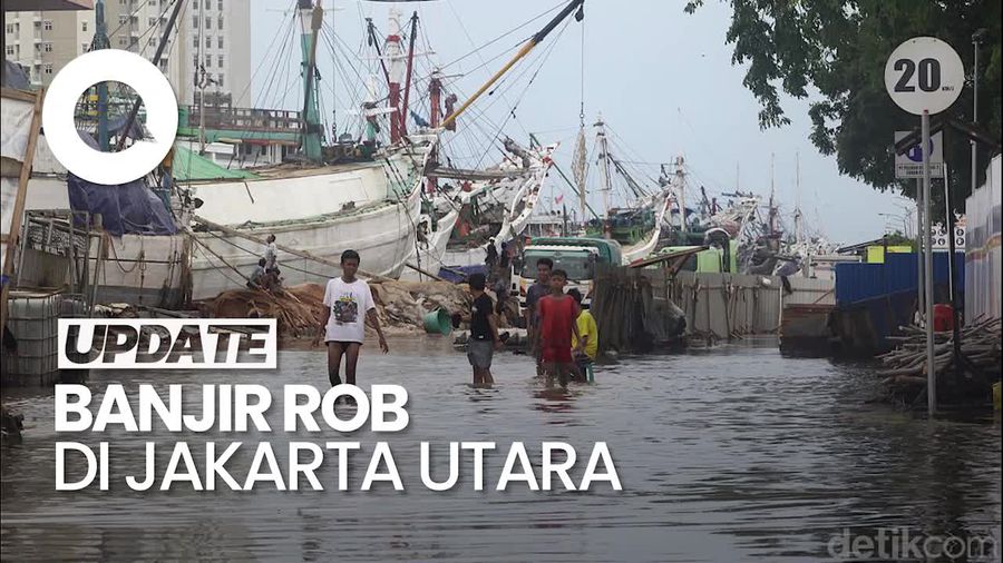 Video Banjir Rob Rendam Penjaringan Jakut, Kedalaman Sampai 80 Cm