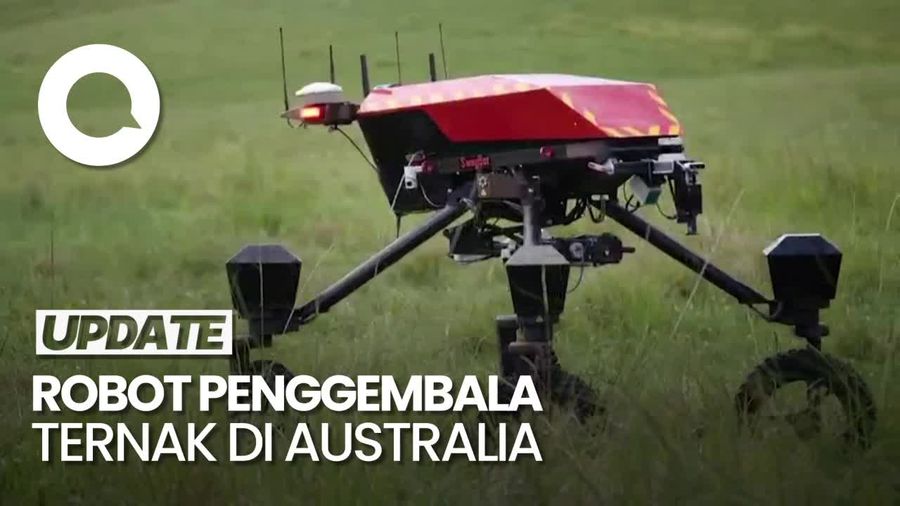 Video: Australia Uji Coba Robot Pintar untuk Gembala Ternak