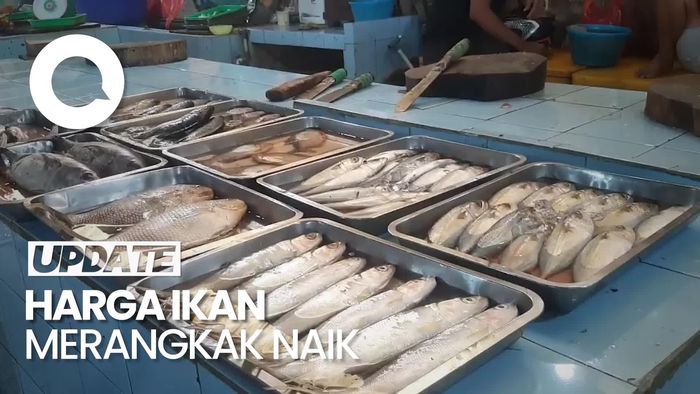 Video: Harga Ikan di Karawang Merangkak Naik Imbas Cuaca Buruk