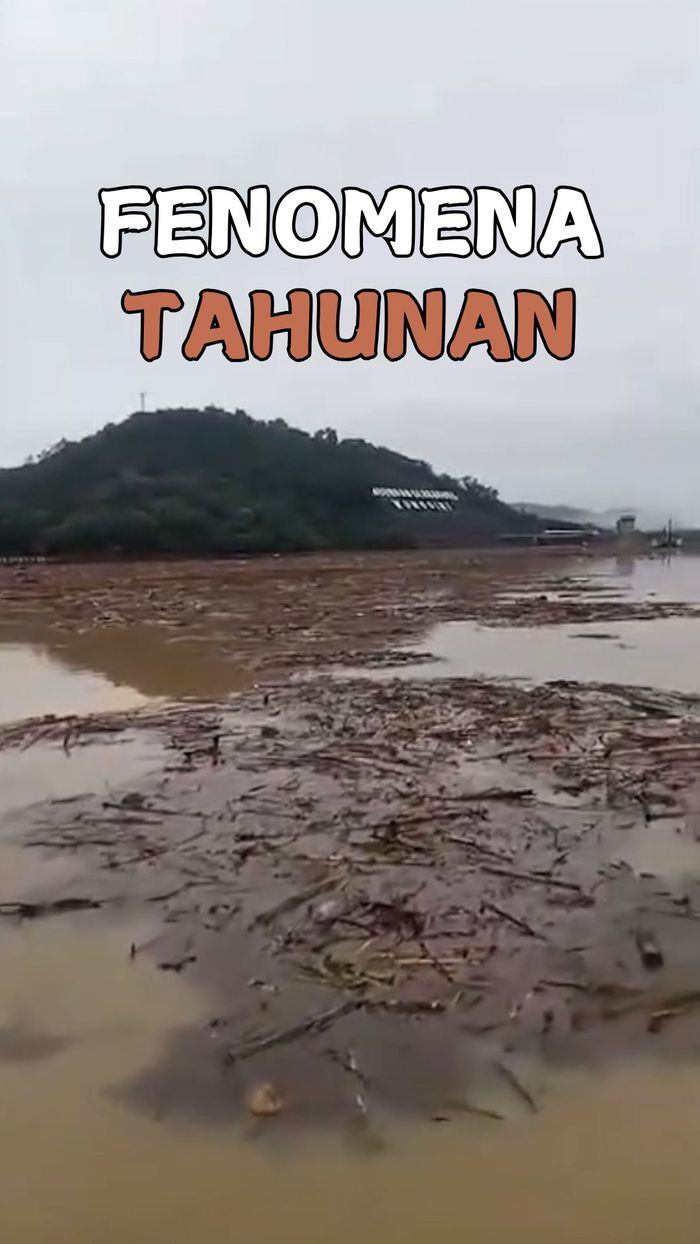 Video Waduk Gajah Mungkur Dipenuhi Sampah