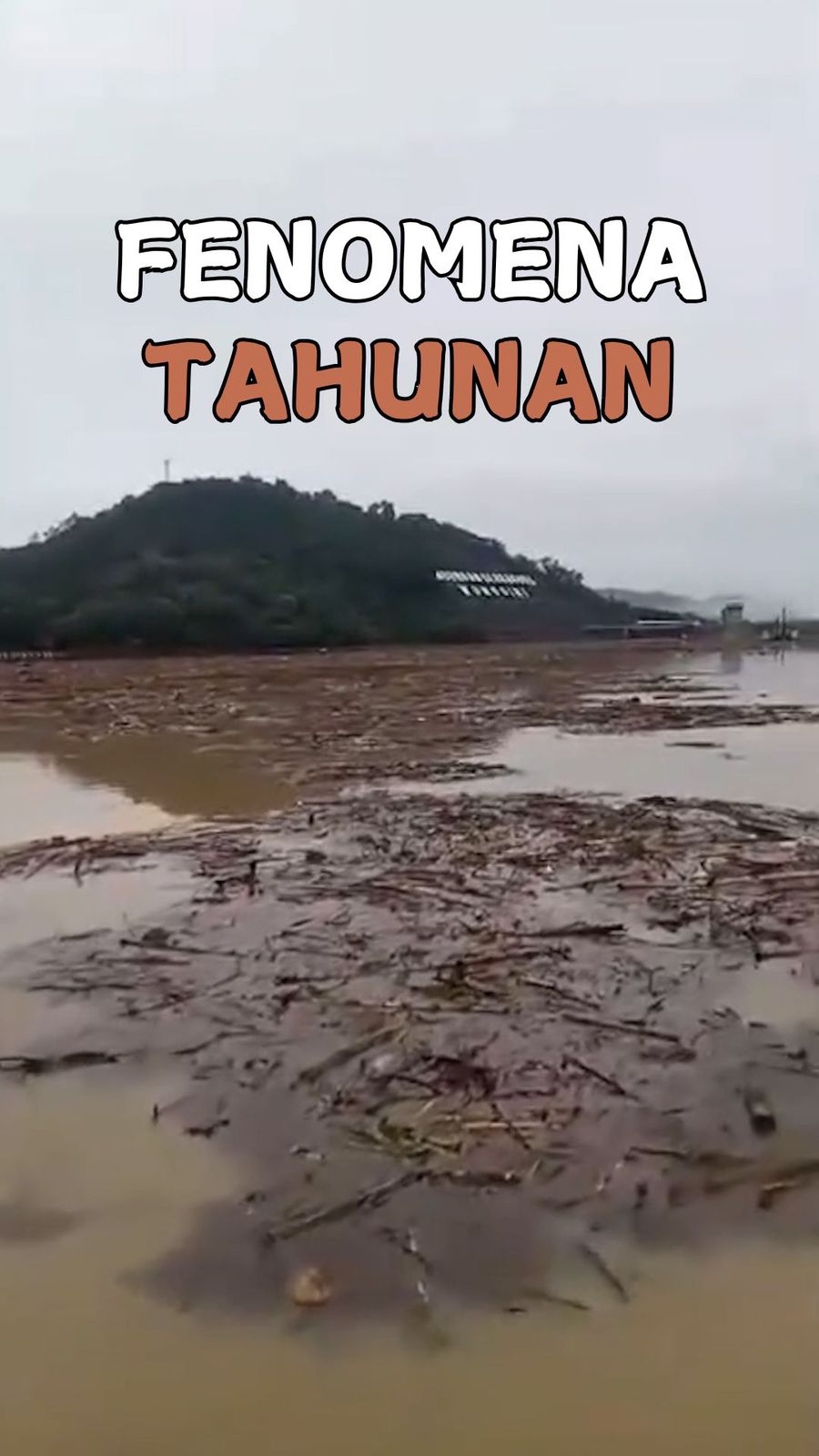 Video Waduk Gajah Mungkur Dipenuhi Sampah