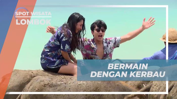 Bermain Seru dengan Kerbau di Pantai Selong Belanak, Lombok