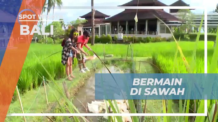 Bermain Seru di Sawah Ubud, Bali
