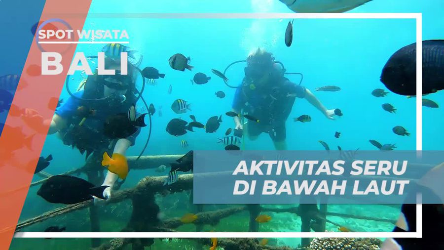 Menikmati Aktivitas Seru di Bawah Laut Tanjung Benoa, Bali